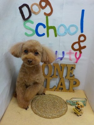 『いつもの感じに戻りました♪』