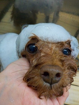 11-20%e3%81%bd%e3%81%a3%e3%81%8d-3