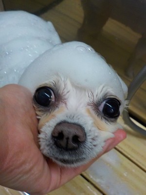 11-20%e3%81%bf%e3%82%8b-2