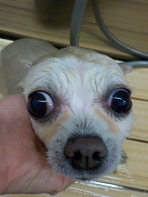 11-20%e3%81%bf%e3%82%8b