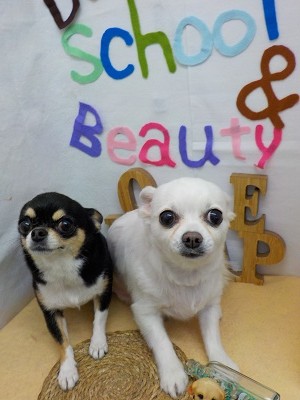 『うん！ツヤツヤになりました♪』