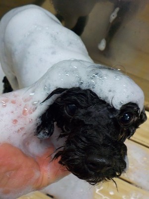 11-20%e3%82%81%e3%82%8b-2