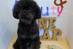 『サッパリしてよかったけどね♪』