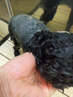 11-20%e3%82%81%e3%82%8b-3