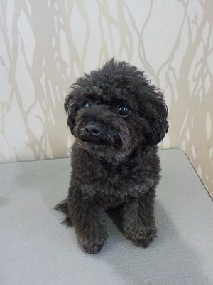 『山登りも行きたかったなー』