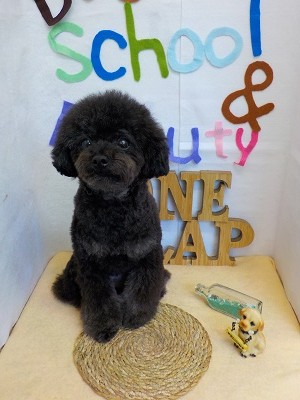 『サッパリしてよかったけどね♪』