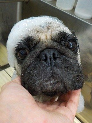 11-20%e3%82%8b%e3%83%b4%e3%81%83-2