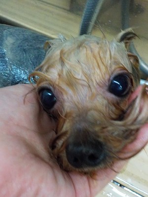 11-20%e3%82%8c%e3%82%93-3