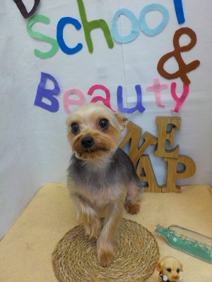 『スッキリしましたー！！』