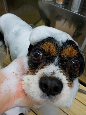 11-21%e3%81%8a%e3%81%8f-2