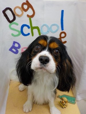 『サラサラだ♪』