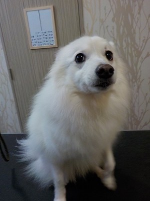 『今日もよろしくー！』