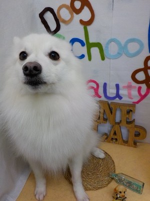 『サッパリしました☆』