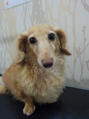 『帰る前に綺麗になっておかないとね☆』