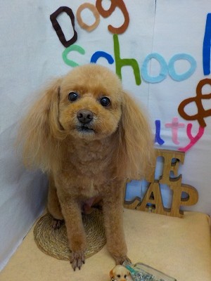 『スッキリスッキリ☆』