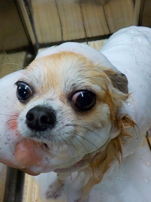 11-22%e3%82%8b%e3%81%aa-2