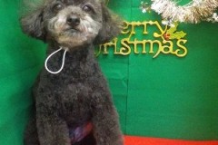 『さっぱりしました☆』