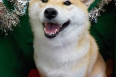 『似合うでしょー♪』