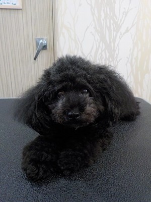 『可愛くしてね！』