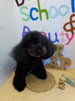 『うん。いいじゃん』