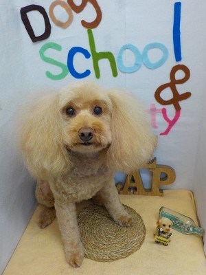 『さっぱりしたー！！』