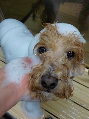 11-3%e3%81%bd%e3%81%a6-2