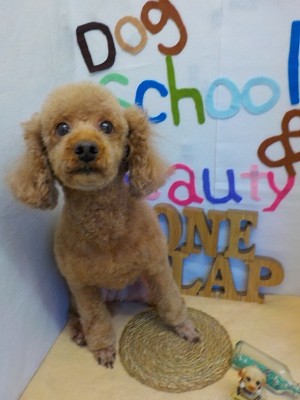 『いい感じでしょ♪』