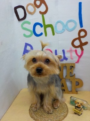 『パイナップル―♪』