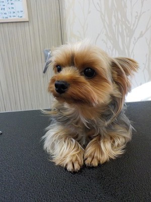 『伸ばしてくぞー』