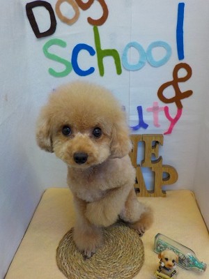 『サッパリした♪』