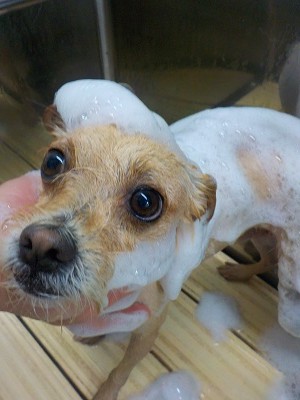 11-5%e3%81%88%e3%82%8b-2