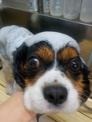 11-5%e3%81%8a%e3%81%8f-2