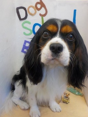 『驚きの違いでしょ♪』