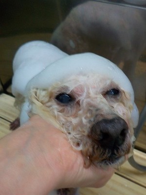 11-5%e3%81%8d%e3%81%af%e3%81%a1-2