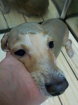 11-5%e3%81%93%e3%81%af%e3%81%8f-3