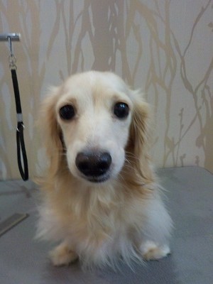 『今回もカットお願いしますね！』