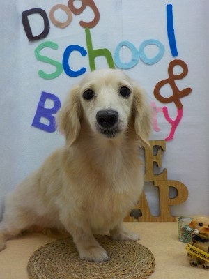 『スッキリしてもらいました！』