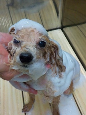 11-5%e3%81%95%e3%81%8f-2