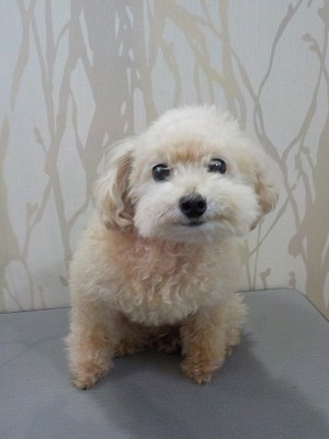 『いつも通りに顔丸くね♪』