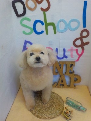 『今日もふわふわ♪』