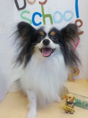 『どお？このサラサラ感！！』