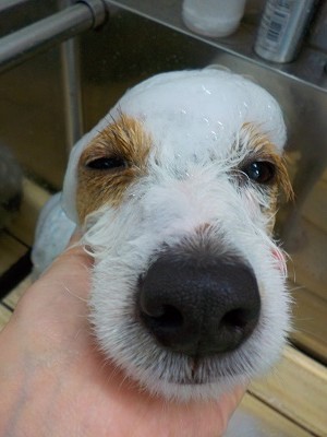 11-5%e3%82%8b%e3%83%bc%e3%81%8f-2