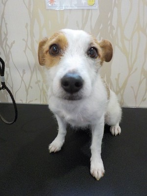 『今度山なんだよねー♪』