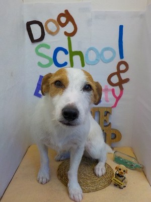 『ワントレ楽しみだなー！！』