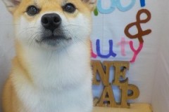 『結構抜けたね！』