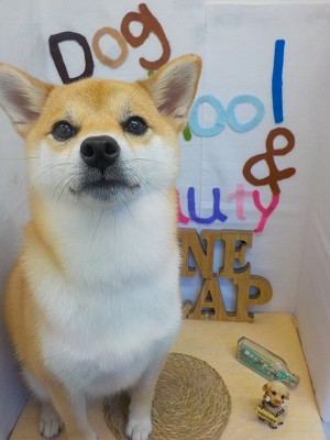 『結構抜けたね！』