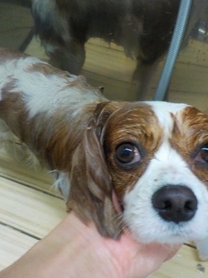 11-6%e3%81%ab%e3%81%93-2