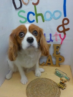 『もう寒いもんね！』