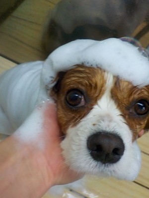 11-6%e3%81%ab%e3%81%93