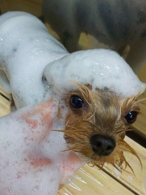 11-6%e3%81%b2%e3%82%81-2